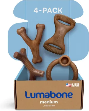 Real Bacon Medium 4-Pack Durable Dog Chew Toys for Aggressive Chewers, Made in USA  Wishbone, Ring Stuffer, Dental Chew, Stick