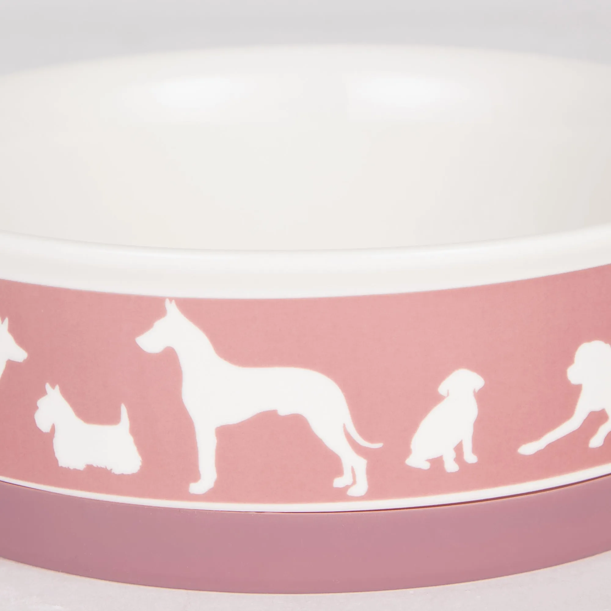 Rose Dog Show Pet Bowl Set/2, Large 3.75 C. Capacity