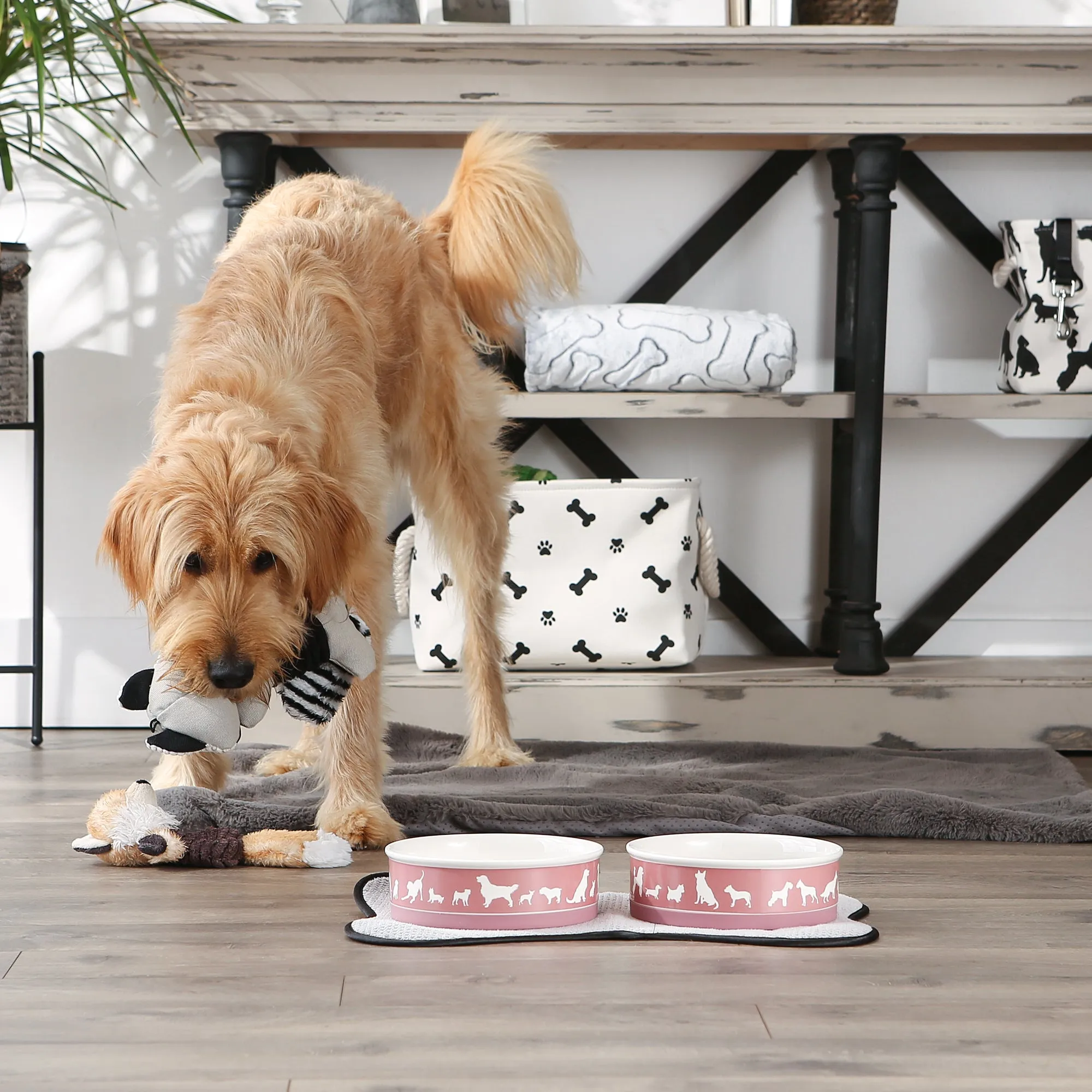 Rose Dog Show Pet Bowl Set/2, Large 3.75 C. Capacity