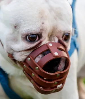 Rubber mouth basket