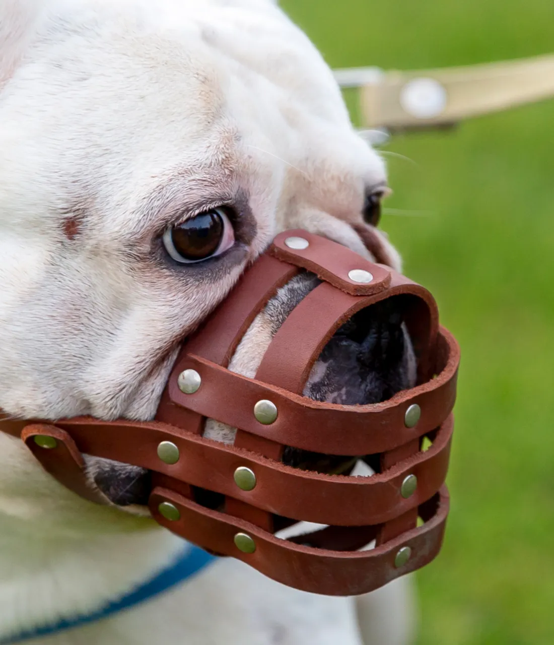 Rubber mouth basket