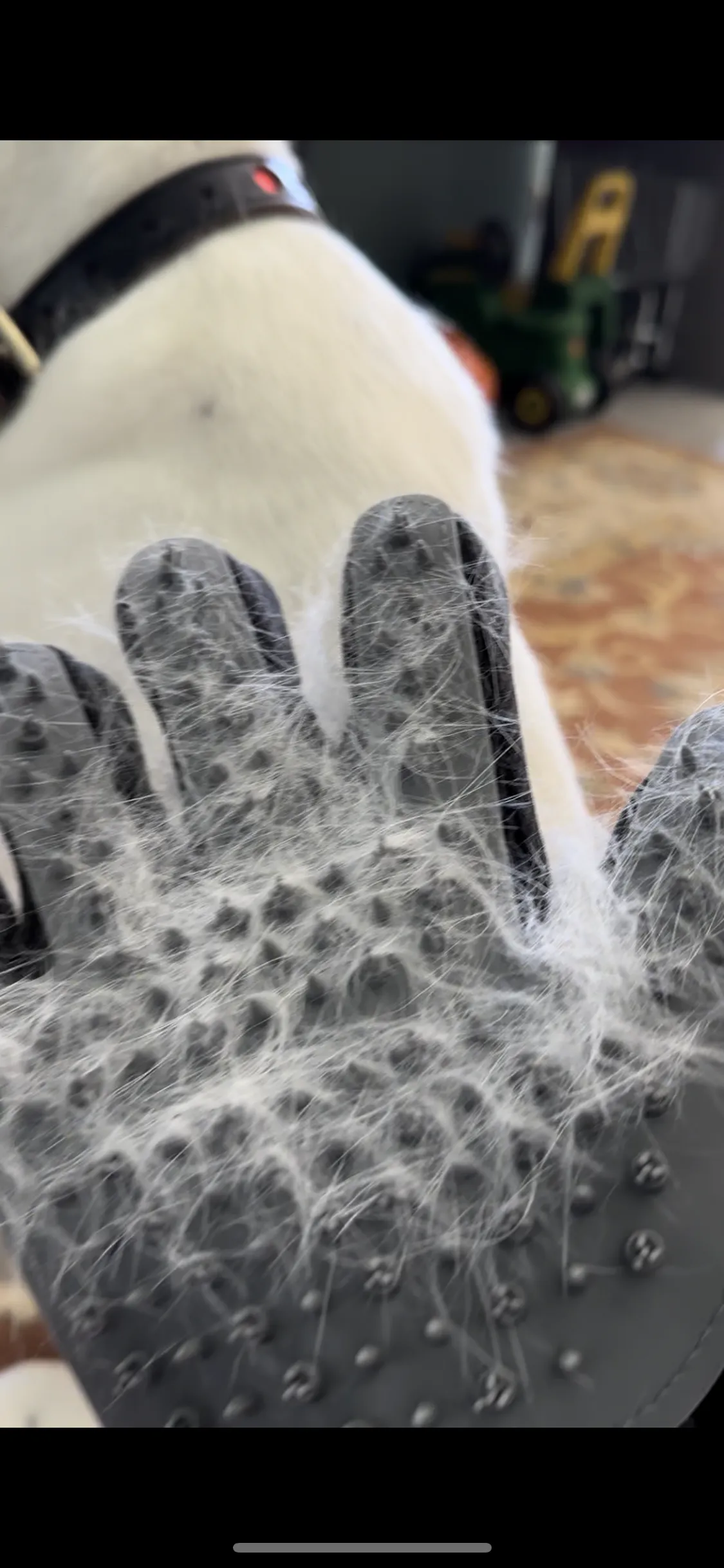 Safari Grooming Glove