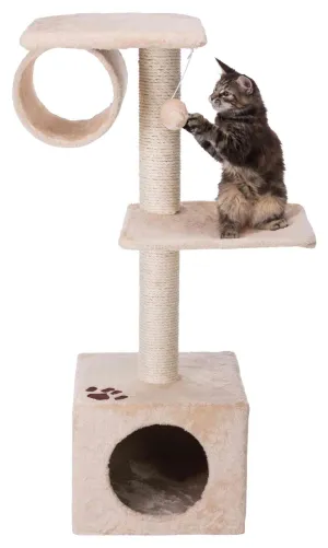 San Fernando Scratching Post