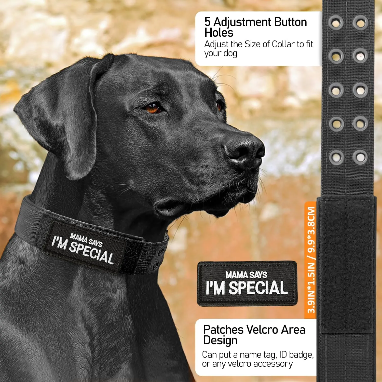 Tactical Dog Collar Military Dog Collar Adjustable Training Nylon Collar Heavy Duty Metal Buckle with Black Patch,Tactical Collars for Medium Large Dogs (Brown, X-Large)