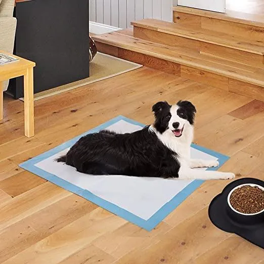 Ultra-Absorbent Pet Dog Cat Potty Training and Puppy Pads Pee Pads