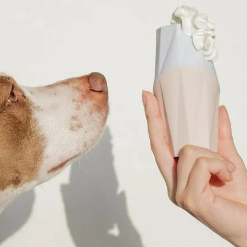 Up Dog Toys - The Ubbe