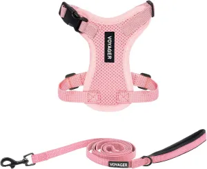 Voyager Step-in Lock Adjustable Cat Harness w. Cat Leash Combo Set with Neoprene Handle 5ft - Supports Small, Medium and Large Breed Cats by Best Pet Supplies - Pink, XXXS