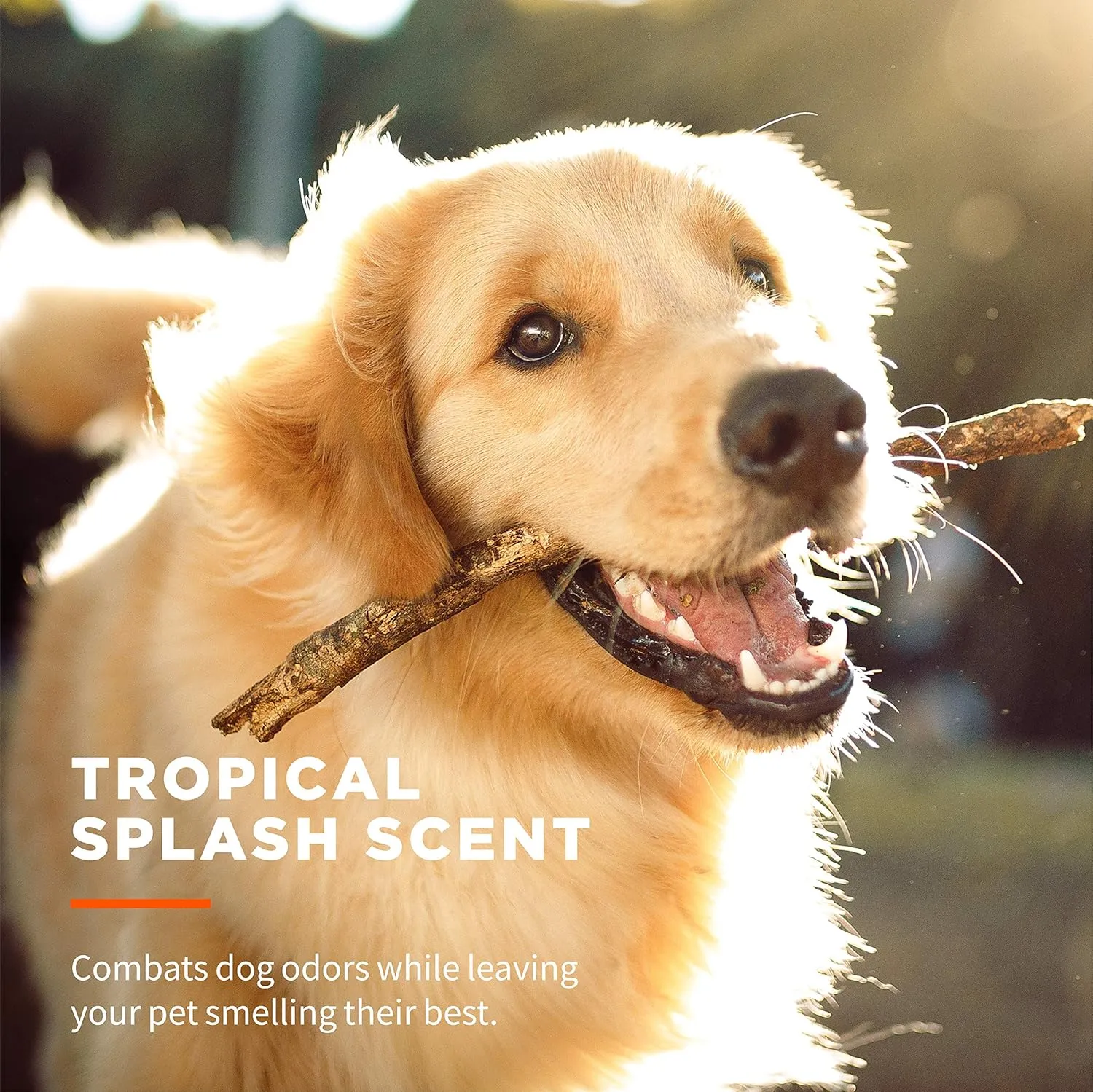 Wet Ones for Pets Paw & Tushie Dog Wipes with Chamomile Dog Wipes for All Dogs in Tropical Splash Scent, Wipes with Wet Lock Seal Pouch Dog Paw Wipes (Pack of 2, 30 Count Total)